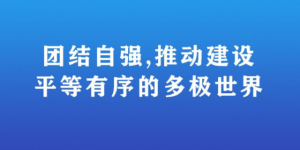 共同努力，构建平等有序的多级世界