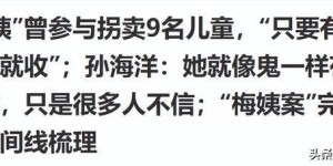 不演了？梅姨被抓仅2天，令人担心的事发生，孙海洋的话有人信了